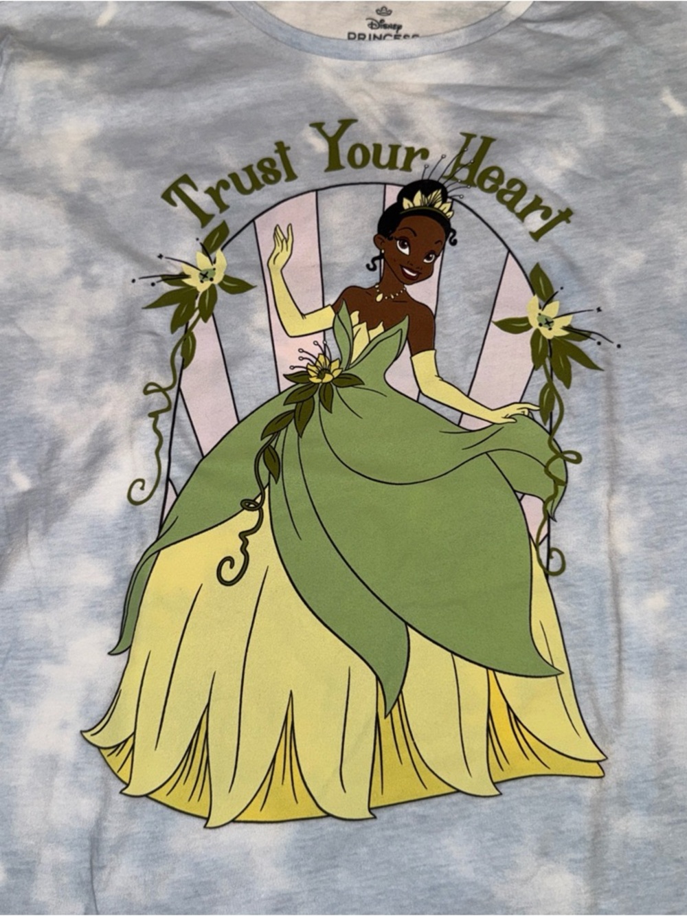 Disney Princess Tiana Graphic Tee - Green and Yellow Artwork